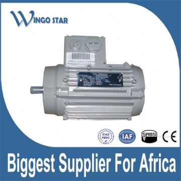 low voltage motor