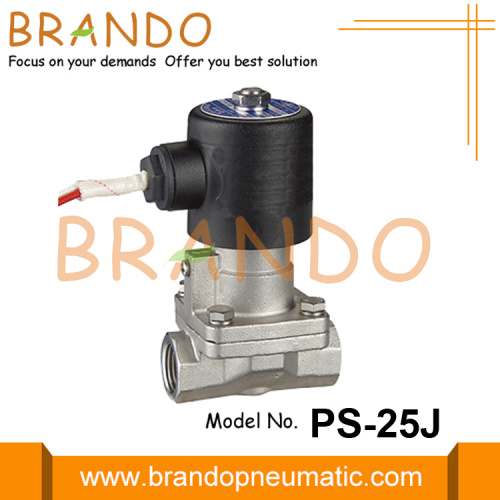 1 &#39;&#39; Paslanmaz Çelik Buhar Solenoid Valfı PS-25J 24VDC