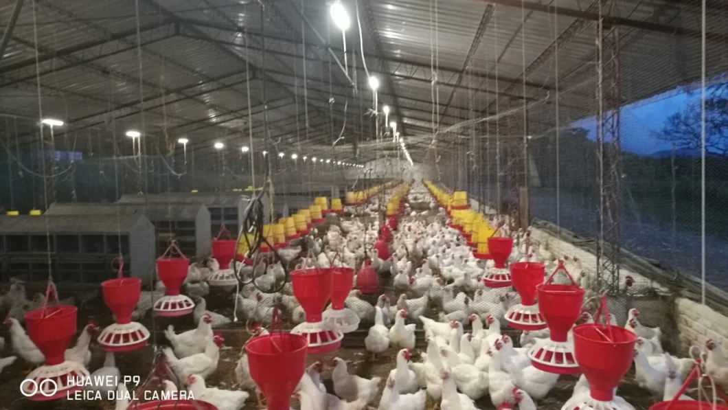 To Simulate Sunrises and Sunsets Touch Dimmer for Egg Hen