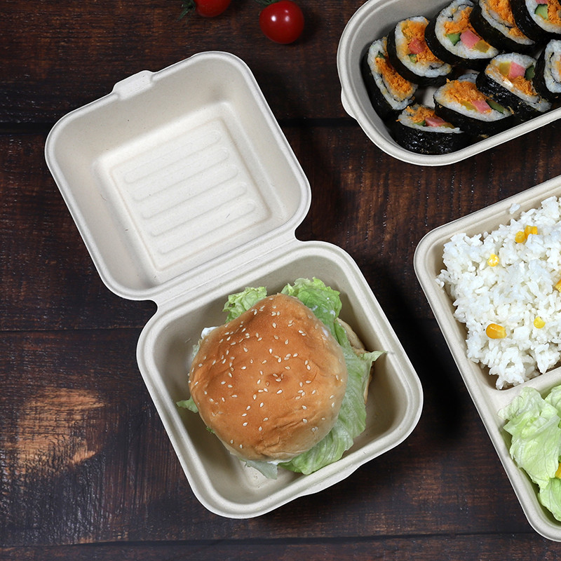 Biodegradable sugarcane bagasse take away burger box lunch pulp packing food container