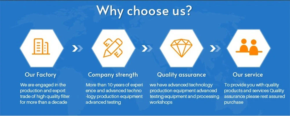 Professional Manufacturer of Filter Water Filter Cartridge Type D Treatment Equipment