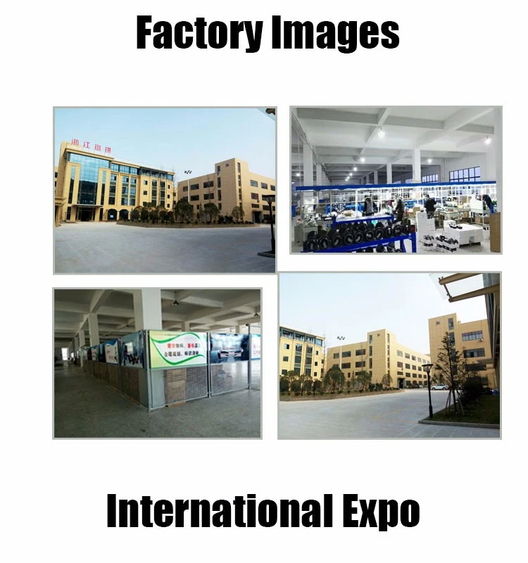 New Style Fashion 2000W Manufacturer Vespa Electric Citycoco Scooter for Adult