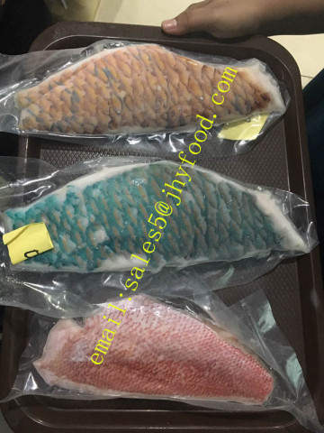 Frozen parrot fish fillet