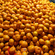 Baby Mandarin Orange