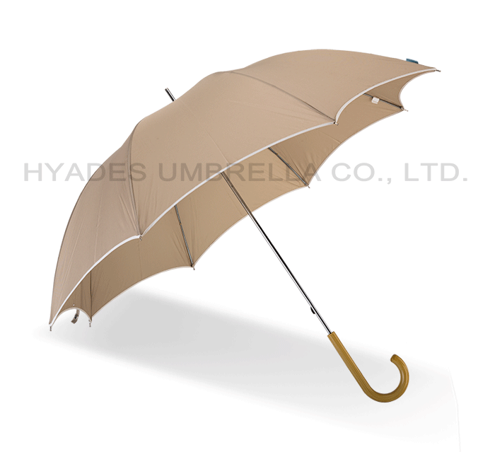 ladies dome umbrella