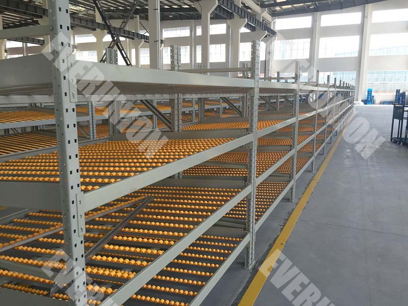 Gravity Flow Roller Racking Systems Carton Flow Racks