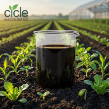 Organic Seaweed Boron Liquid Fertilizer for Plant Growth