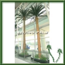 5m Artificial preserved palm tree