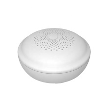 Wireless water leakage alarm