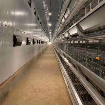chicken cage system