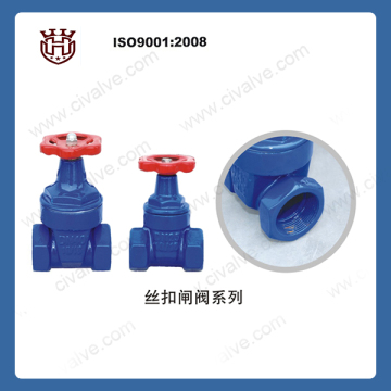small size Screw cast iron resilient seated sten gate valve