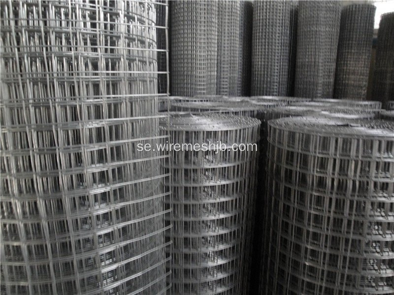 Galvaniserad Svetsad Wire Mesh In Rolls