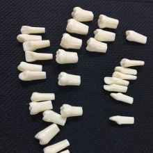 Replacement Typodont Teeth Model for Dental Student Practice