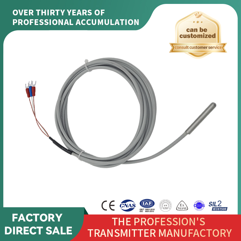 Senzor de temperatură cu rezistență termică