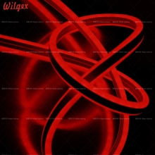 LED neon flex for Christmas