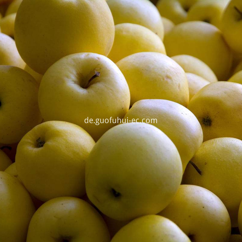 Golden Delicious 80 Spezifikationen Golden Delicious 80 Specifications