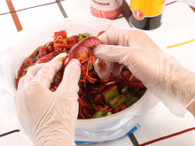 No Sterile Powder /Powder Free Vinyl Glove