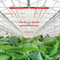 LED Grow Light Strips Alta potencia 1440 LED