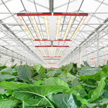 Aglex L700W LED 실내의 성장 램프