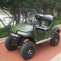 Smart gas car,2 seats golf carts