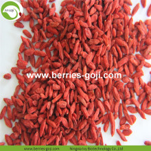 Fruits d&#39;approvisionnement d&#39;usine saine grande taille Goji Berry