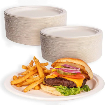 100% Biodegradable disposable tableware bagasse plates