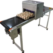 Best Choice Chicken Egg Printing Machine for Sale