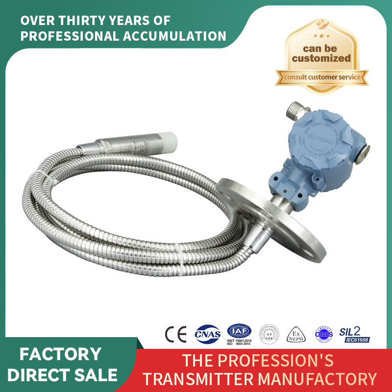 Transmițător de nivel: Indicator de nivel de intrare tip furtun cu flanșă