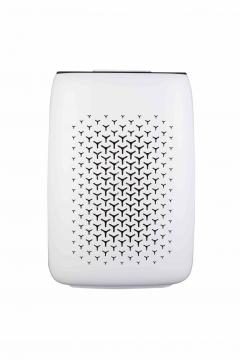 Room Ion air purifier