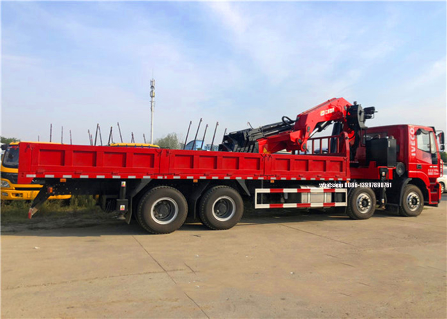 Truck Mounted Crane4