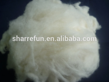 Dehaired Raccoon Hair