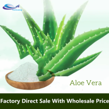 Aloe Vera P.E Extract Powder Aloe Gel Powder