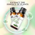 pure nature pine needle oil,organic Pine needle oil,Pine needle essential oil