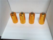 the wine bottle glass