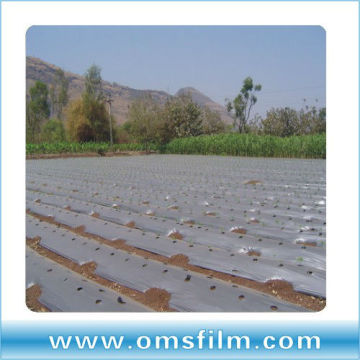 High performance co-extruded mulch films