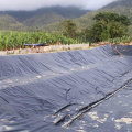 HDPE LLDPE Geomembrane Tekstur Liner Harga Filipina