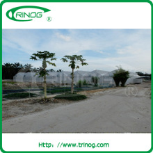 Outside shading system plastic greenhouse prefabricated greenhouse