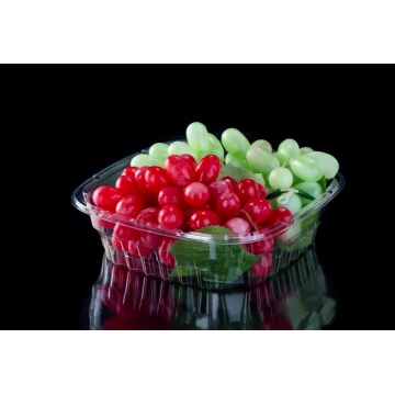 Contenedor de embalaje de frutas transparentes desechables