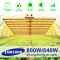 800W Fanless Samsung Quantum Led Grow Light Bar