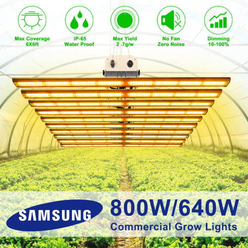 800 W Fanless Samsung Quantum LED Grow Brand Bar