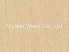 Sliced Cut Natural White Beech Wood Veneer Sheet