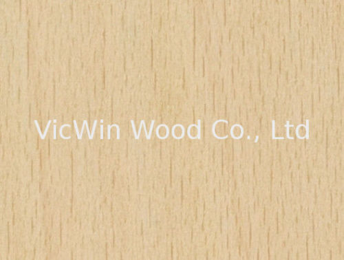 Natural White Beech Wood Veneer Sheet Crown/quarter Cut