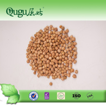 Chinese Food Canned Food Canned Chick Peas in Tins