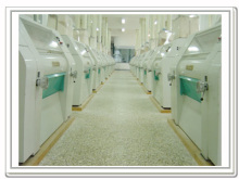 flour grinder plant,flour making machinery,grain flour processing factory,grain flour machining device,flour equipment,flour production line,corn flour grinding