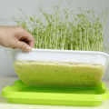 Seedling Starter Hydroponic Microgreens Grow Tray On Sale