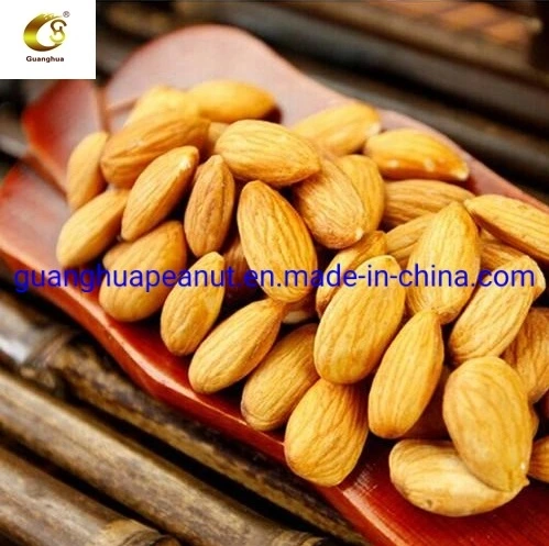 Hot Sale High Grade Almonds