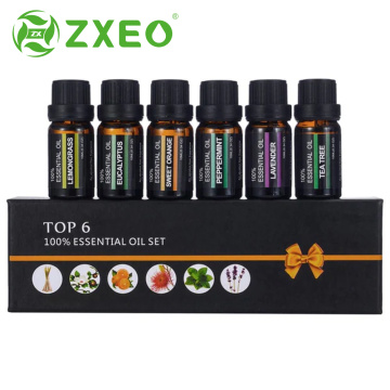 10 ml Handelsmarkengeschenkset 100% reine ätherische Öl -Set Lavendel Teebaum Pfefferminze Nelke Diffusor ätherisches Öl