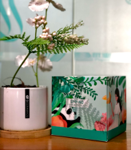 OEM Wholesale Virgin Pulp Cube Box Paper Tissue