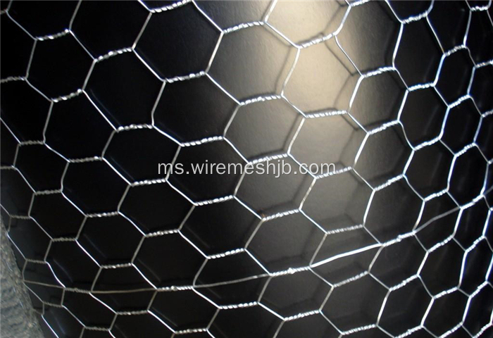 1 &#39;&#39; Hot-dip Galvanized Hexagonal Wire Nettings