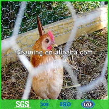 Fine Quality Chicken Wire/Chicken Wire Mesh/Poultry Wire(Supplier)